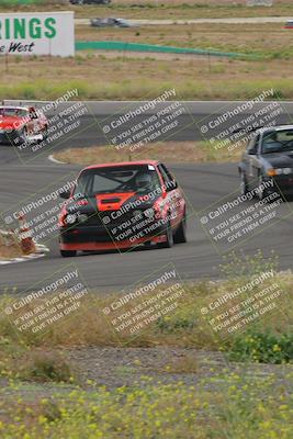 media/May-04-2024-Lucky Dog Racing (Sat) [[d39539b3f3]]/Race Pics/1230pm (Turn 4a)/